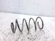 Front coil spring