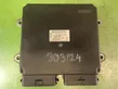 Engine control unit/module ECU