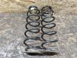 Rear coil spring