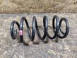 Rear coil spring