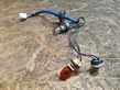 Rear tail light wiring loom