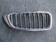 Front bumper upper radiator grill