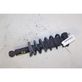 Rear shock absorber with coil spring