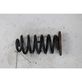 Rear coil spring