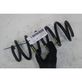 Rear coil spring