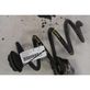 Rear coil spring