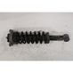 Rear shock absorber with coil spring