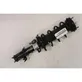 Front shock absorber/damper