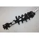 Front shock absorber/damper