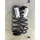 Rear coil spring