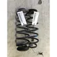 Rear coil spring