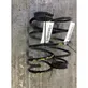 Rear coil spring