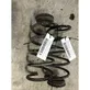 Rear coil spring