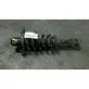 Rear shock absorber with coil spring