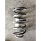 Rear coil spring