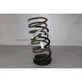 Rear coil spring