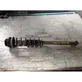 Rear shock absorber with coil spring