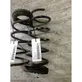 Rear coil spring