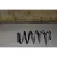 Rear coil spring