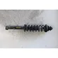 Rear shock absorber with coil spring