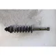 Rear shock absorber with coil spring