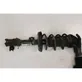 Front shock absorber/damper