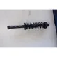 Rear shock absorber with coil spring