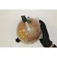 Coolant expansion tank/reservoir