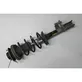 Rear shock absorber with coil spring