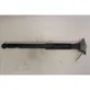 Rear shock absorber with coil spring