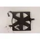 Electric radiator cooling fan