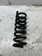 Rear coil spring