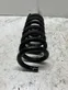 Rear coil spring