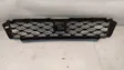 Front bumper lower grill