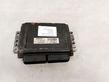 Engine control unit/module ECU