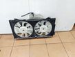 Electric radiator cooling fan