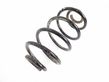 Rear coil spring