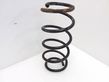 Front coil spring