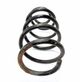 Front coil spring