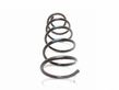 Front coil spring