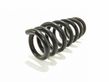 Front coil spring