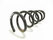 Rear coil spring