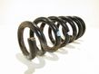 Front coil spring