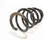 Front coil spring