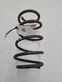 Front coil spring