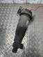 Air suspension rear shock absorber