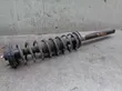 Rear shock absorber with coil spring