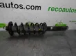 Rear shock absorber with coil spring