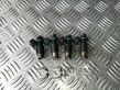 Fuel injectors set