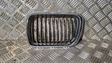 Front bumper upper radiator grill